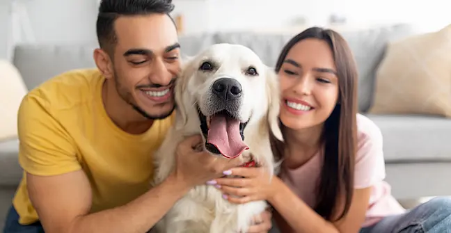 Living with pets 